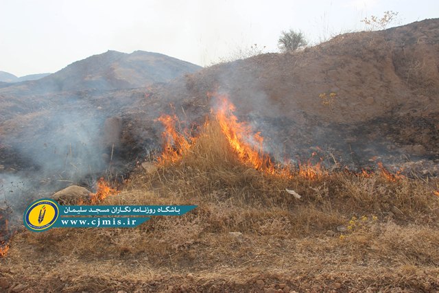 آتش‌سوزی گسترده مراتع در مسجدسلیمان